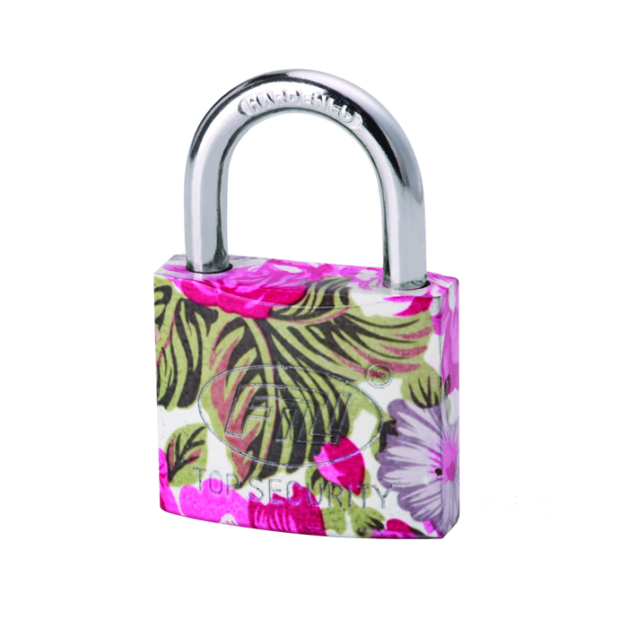 Cast Padlock